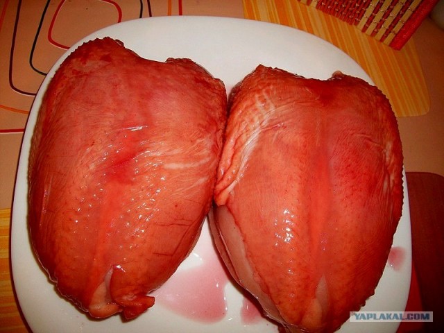 International одной книги., В память о Дженибеке.