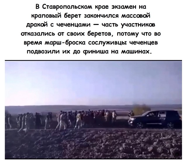 Так себе картинки 22.10.21