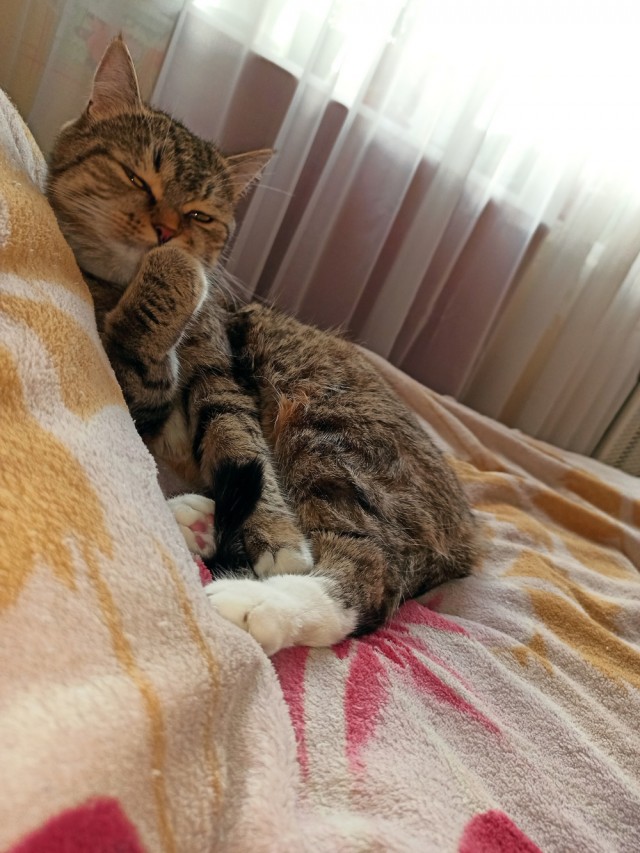 Котательная сводка за пять минут