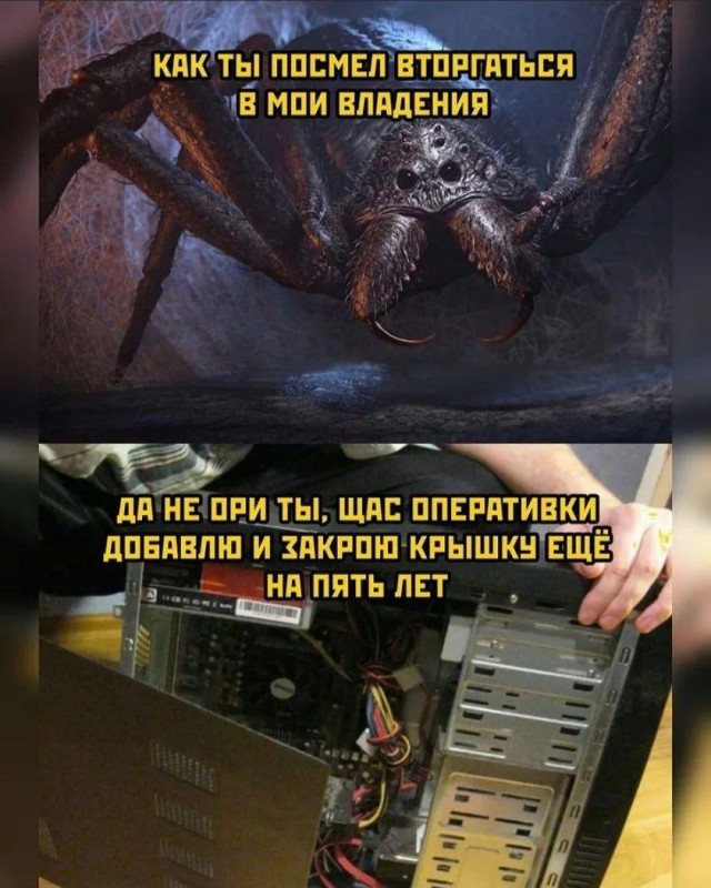 Весёлый полтишок 01.02