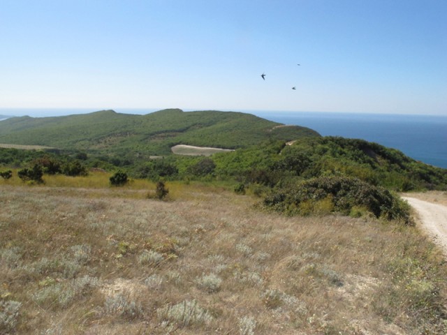 Анапа.
