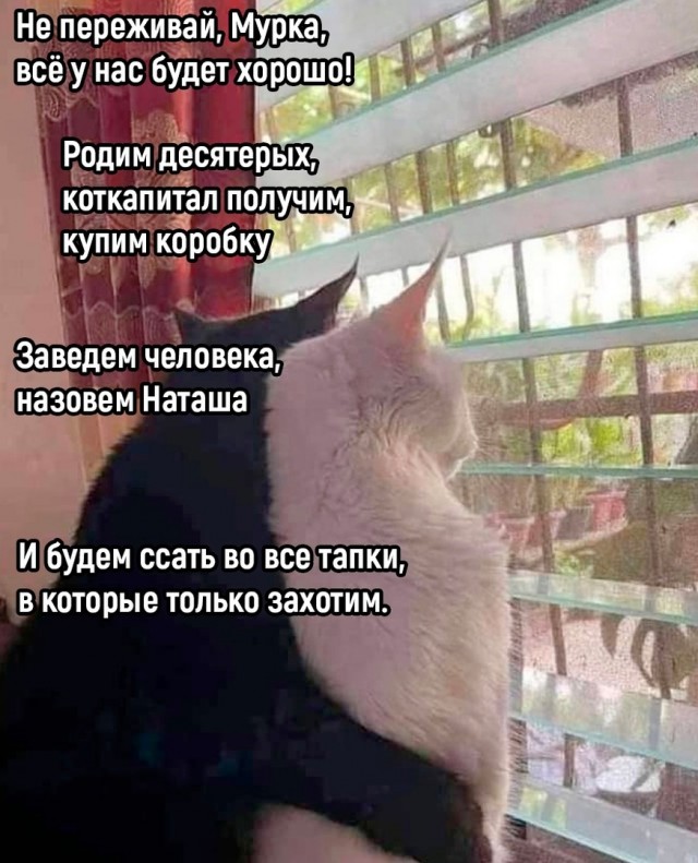 Так себе картинки 12.07.22