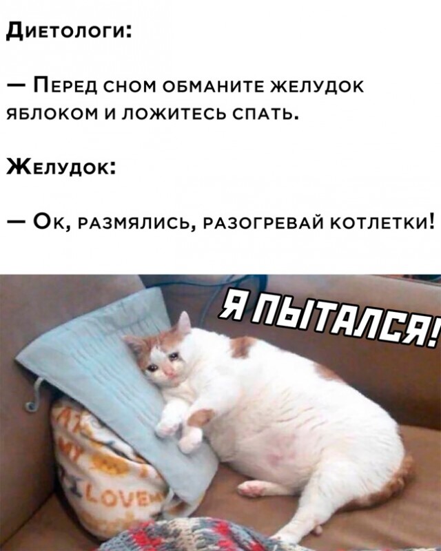 Картинки и мемы для настроения. Выходные близко...