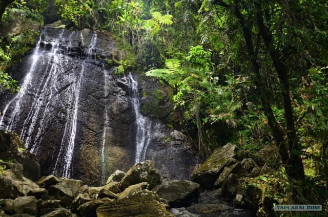 Путешествие по Северной Америке