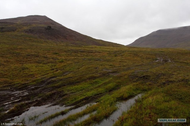 За Полярным кругом. Норильск. Тундра.