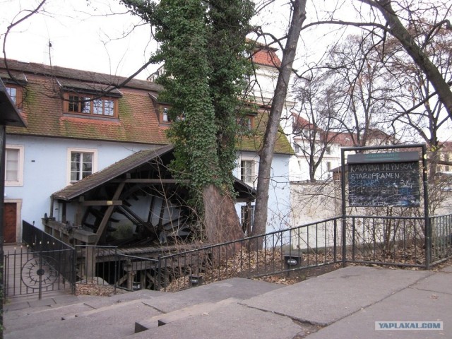 Пивная Прага