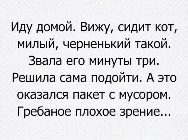 Чуток картинок 11.10.22