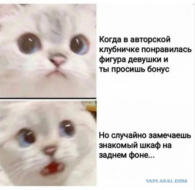 Забавные комментарии из социальных сетей (17.10.22)