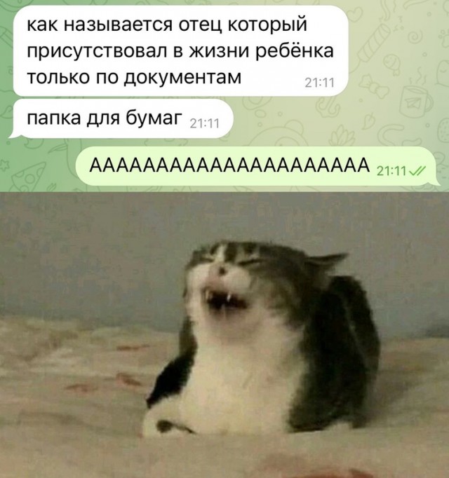 Весёлый полтишок 10.11.22