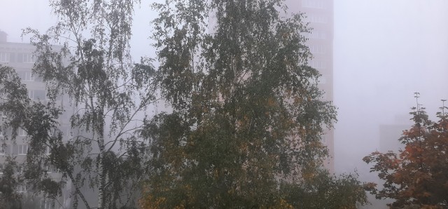 А из нашего окна вот такая красота...