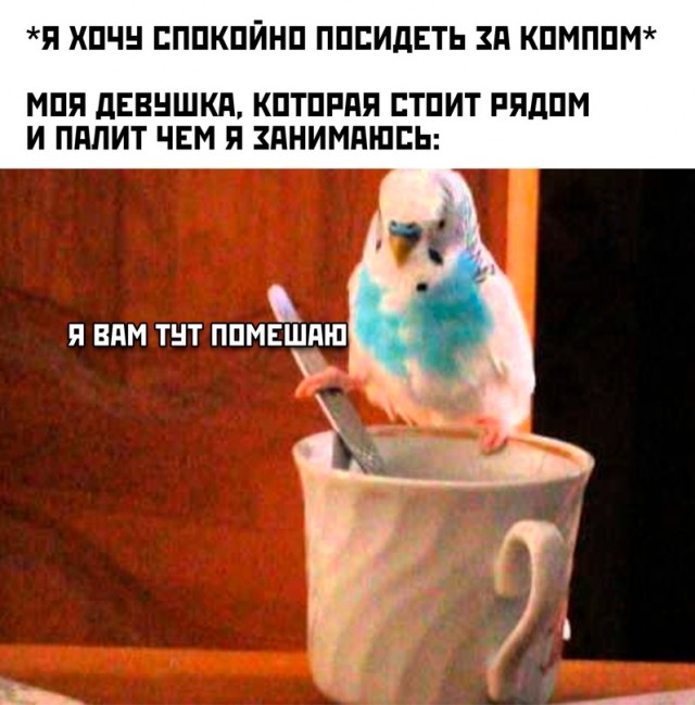 Картинки и мемы для настроения - 123