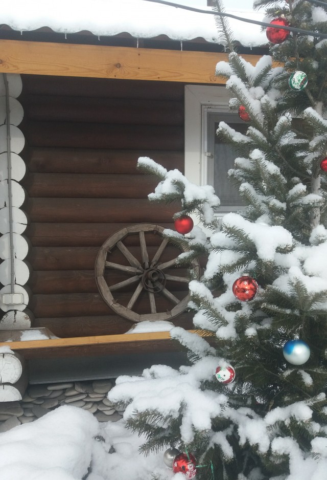 Выкладывайте свои елки!