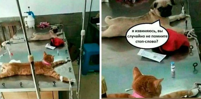 Кто вы такие? Что вы со мной делаете?