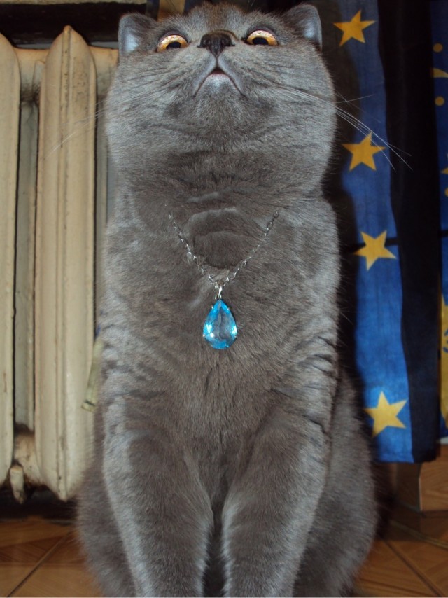 Совпало же? В котовторник