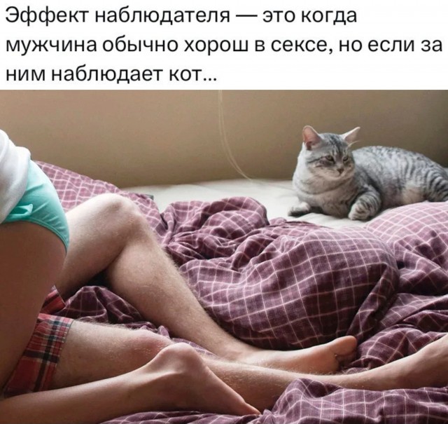 Нуштош 18.03.2023