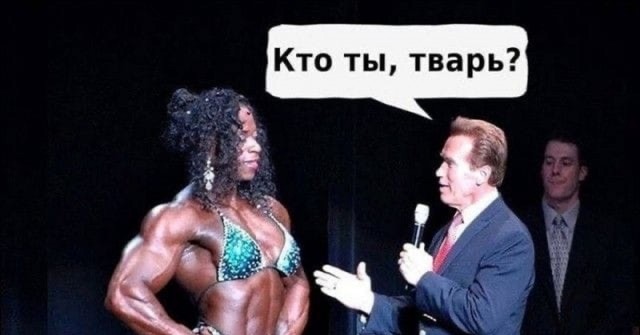 Лёгкая вечерняя разминка
