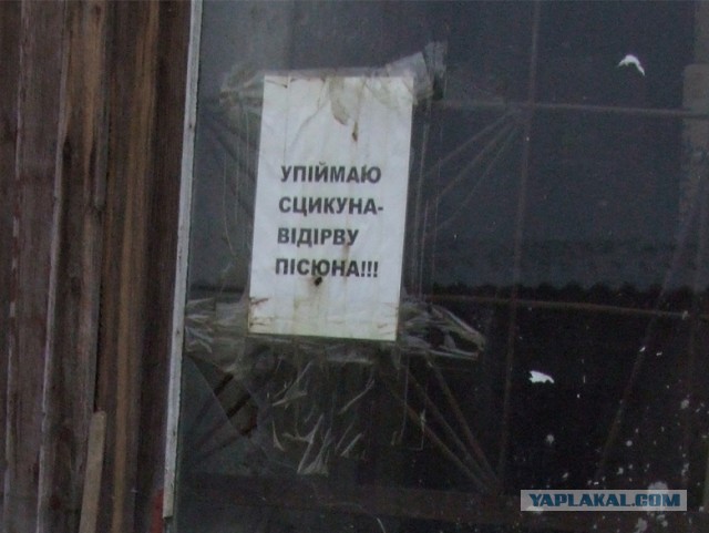 Как поступать с гаражными ссыкунами?