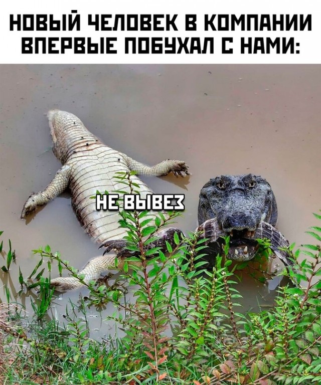 Картинки и мемы, всяко разно - 183
