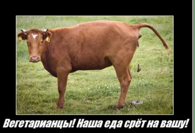 Шеф-повар запретил веганам посещать его ресторан