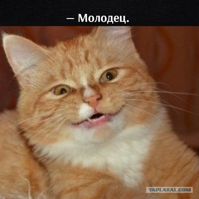 Женился на девственнице и пожалел!