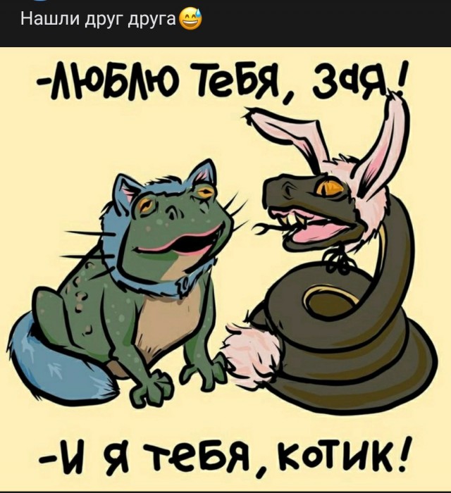 Шесть мифов о холостяках и их жизни