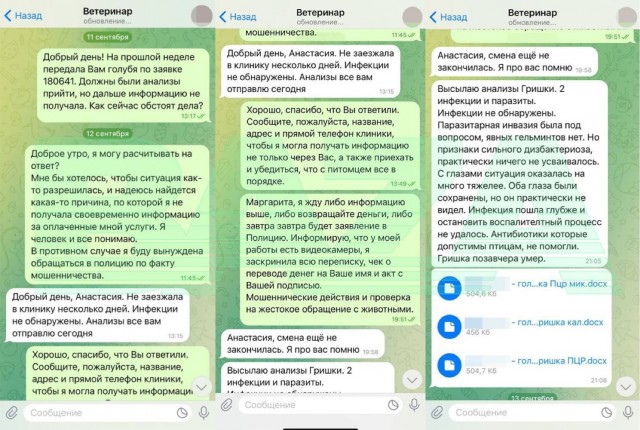 Гришка умер