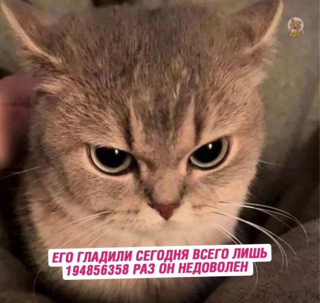 Так себе картинки 20.10.23