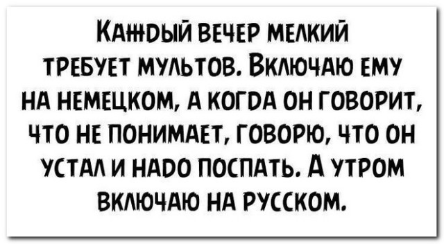 Забавные комментарии из социальных сетей (11.12.23)