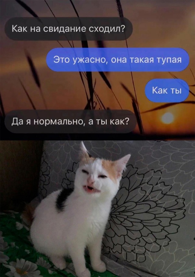 Всего понемногу. От 17.06.2024