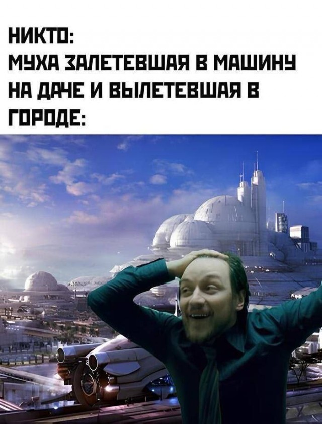 Весёлый полтишок 10.07.24