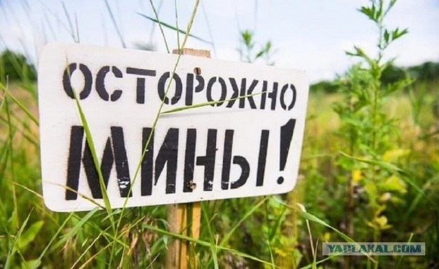 Этой подвеске пофиг на все