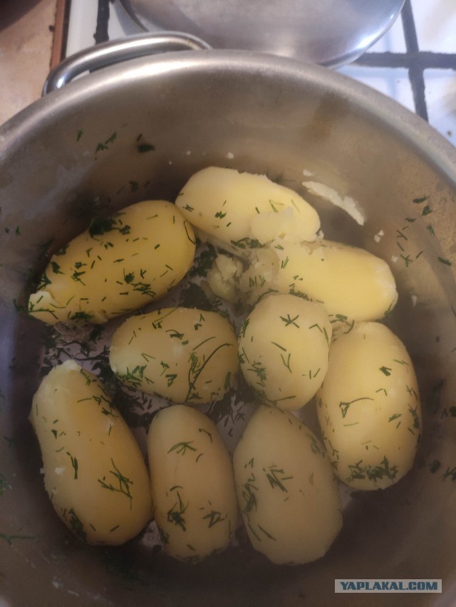 Грибоскресенье