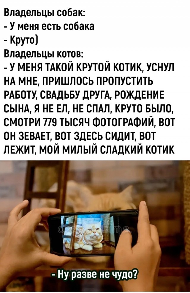 Так себе картинки 01.09.24