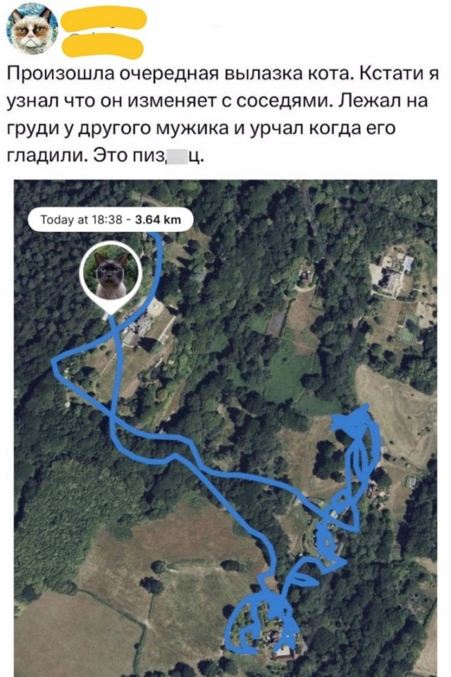 Так себе картинки 19.09.24
