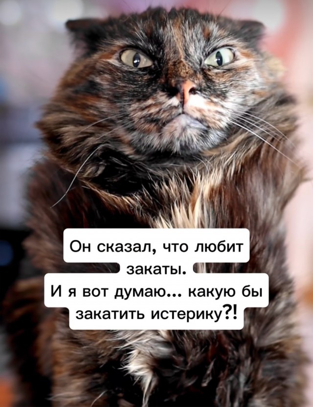 Завалялось тут случайно немного забавных картинок