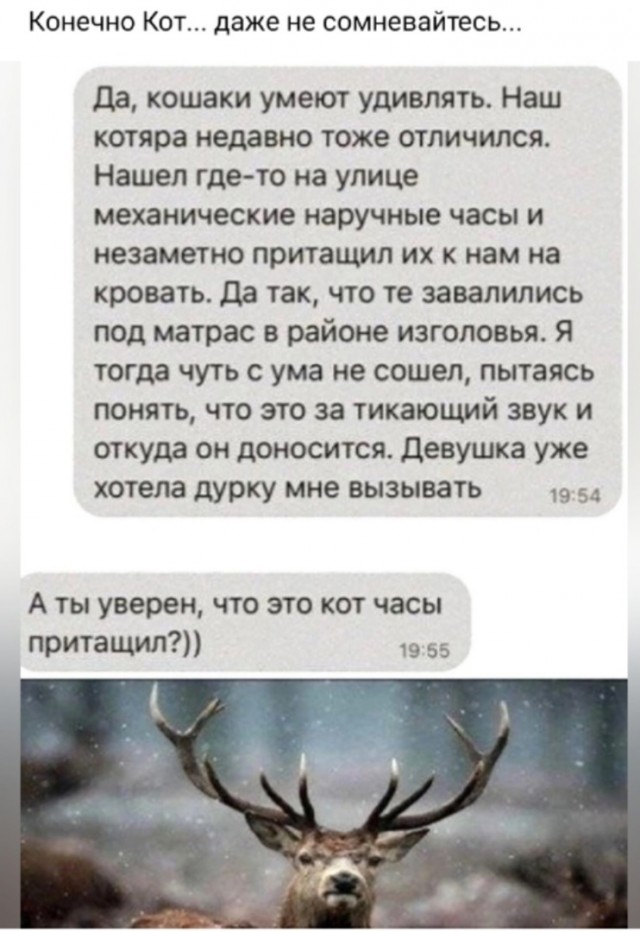 19499926.jpg