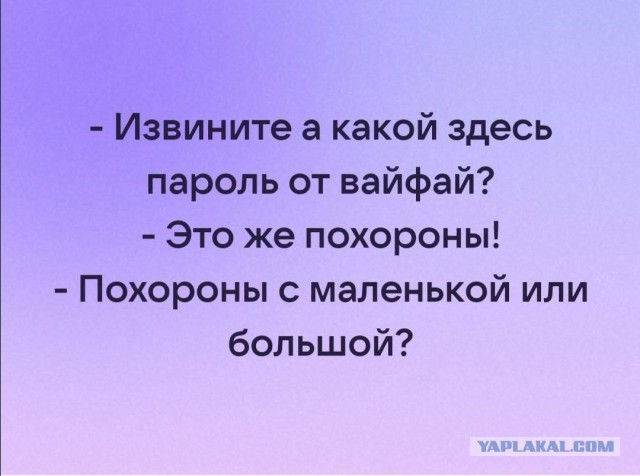 Так себе картинки 31.10.24