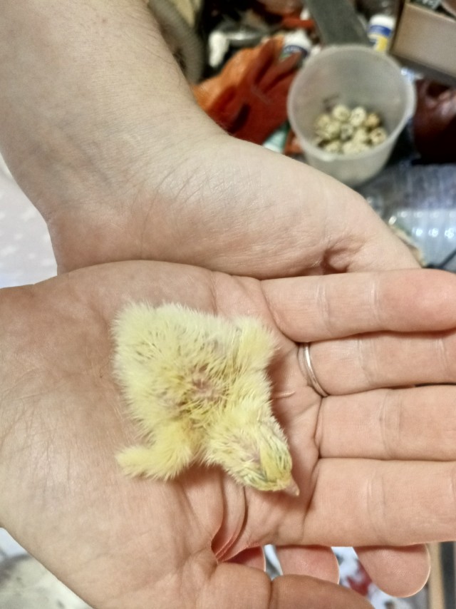 Картинки для...