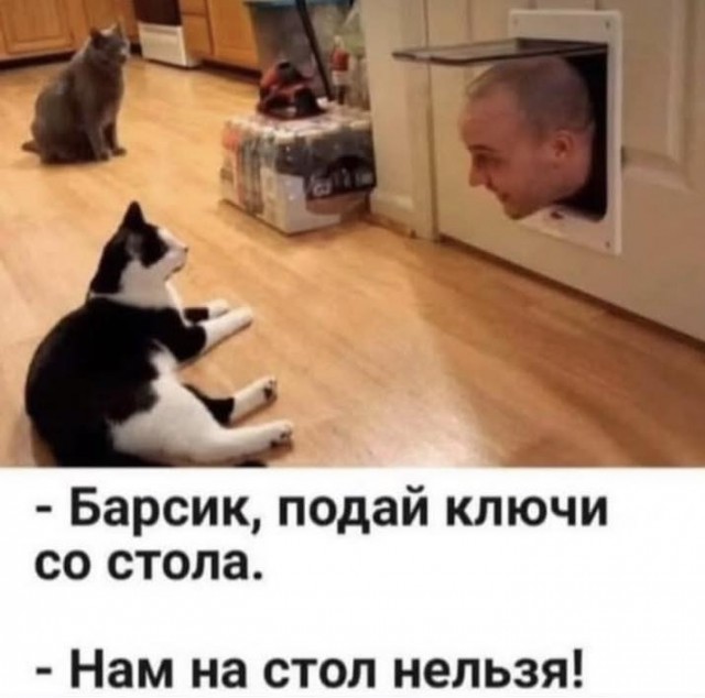 Завалялось тут случайно немного забавных картинок