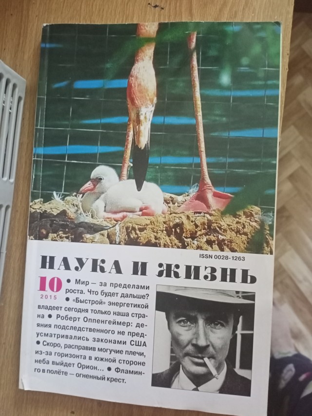 «Яп» моего детства
