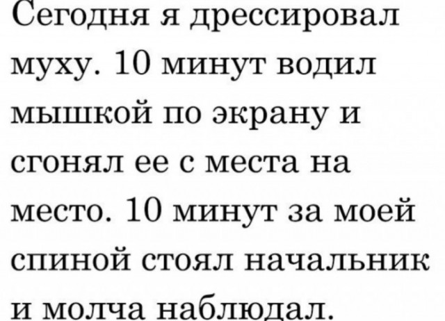 Занятные картинки с надписями и шашлыки на майские