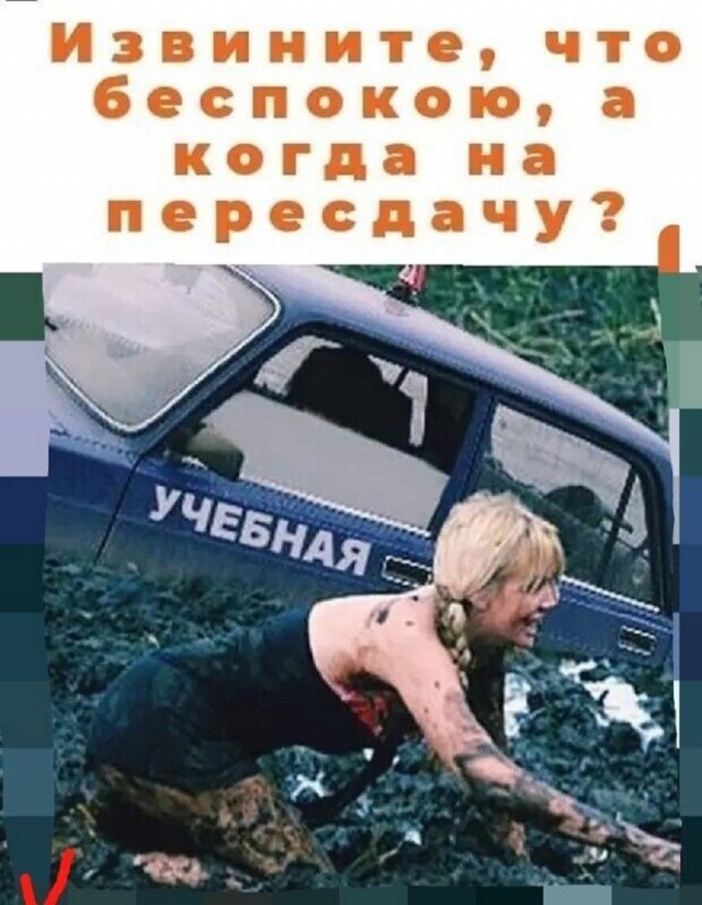 Так себе картинки 13.06.25