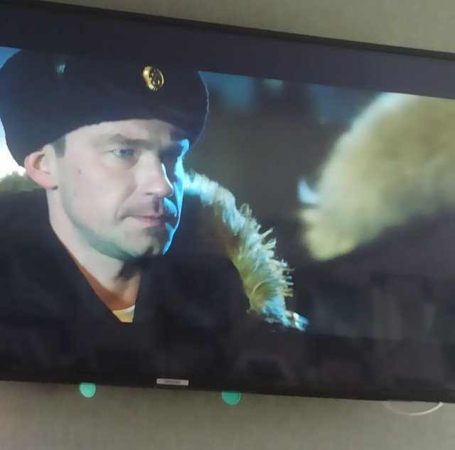 «Кракен»: выпускайте Петрова!