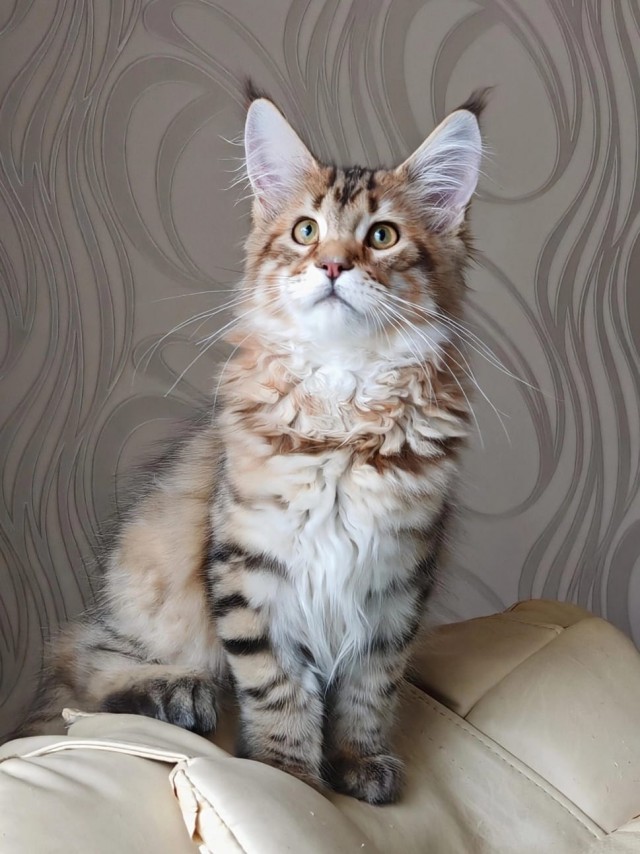 Его первый вторник