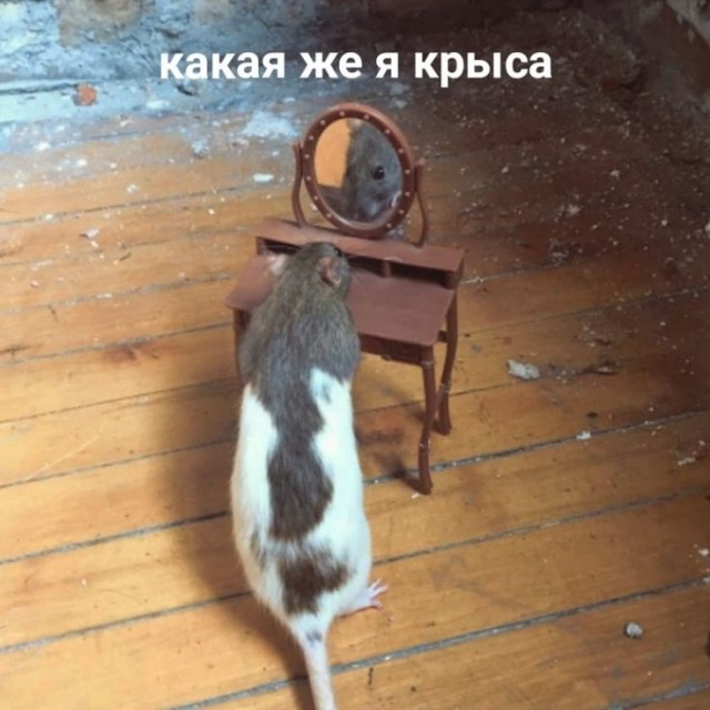 Отобрал у ребенка