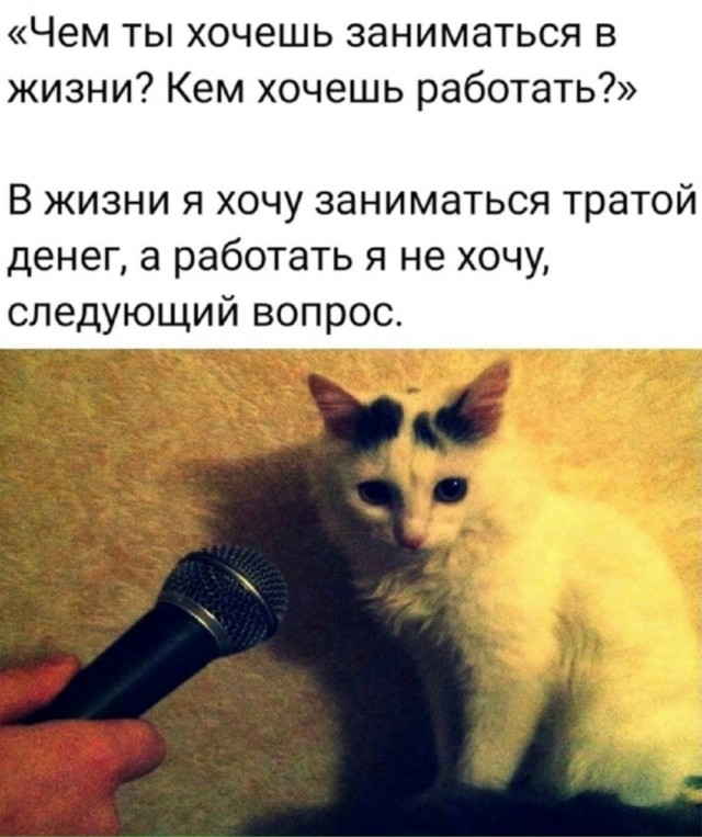 Веселое настроение в картинках (28.09.2025)