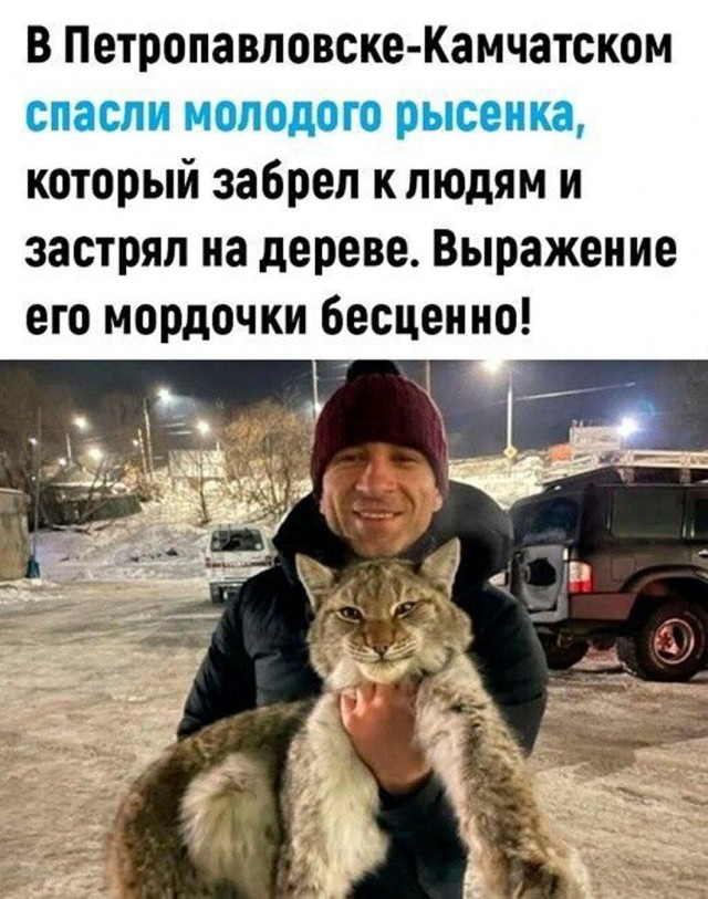 Прикольные и просто красивые картинки 24.10.2025