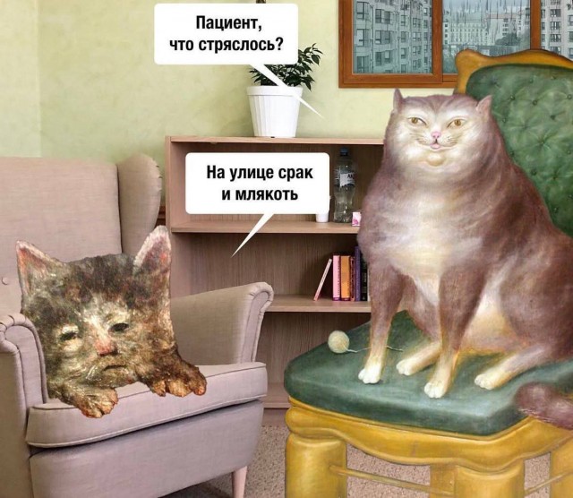К котовторнику: подборка картинок-баянов с котиками и про котиков. Выпуск 27.