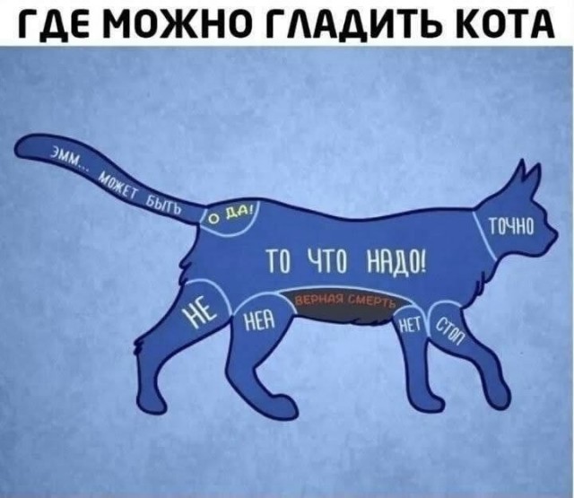 Время для важных дел