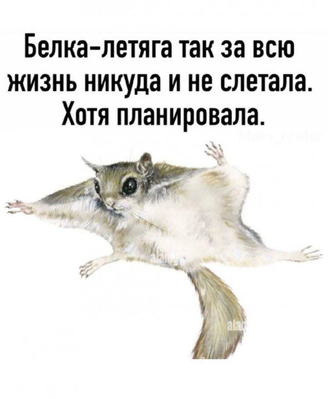 Картинки для деградации 143 (разной степени свежести)